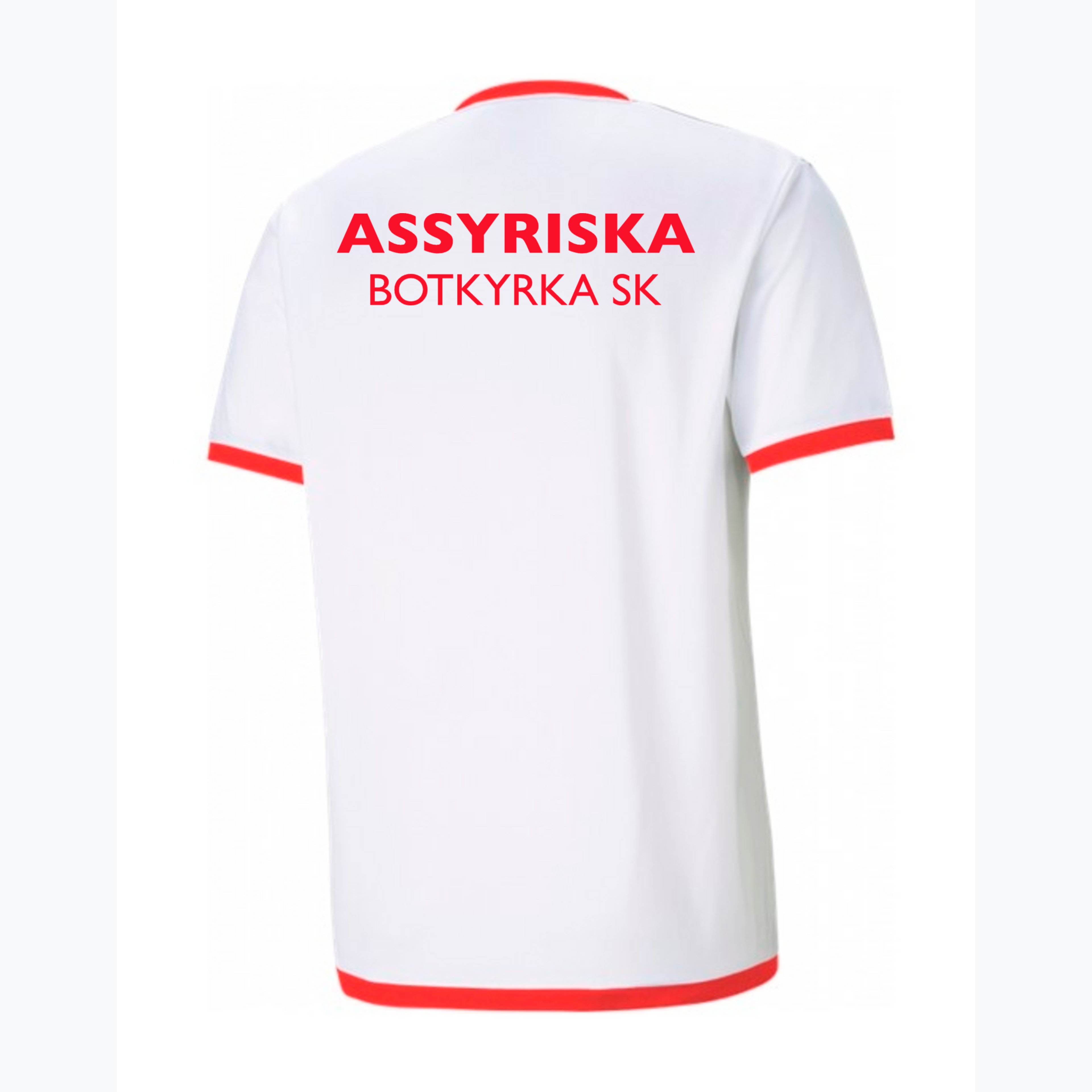 teamLIGA Jr träningst-shirt