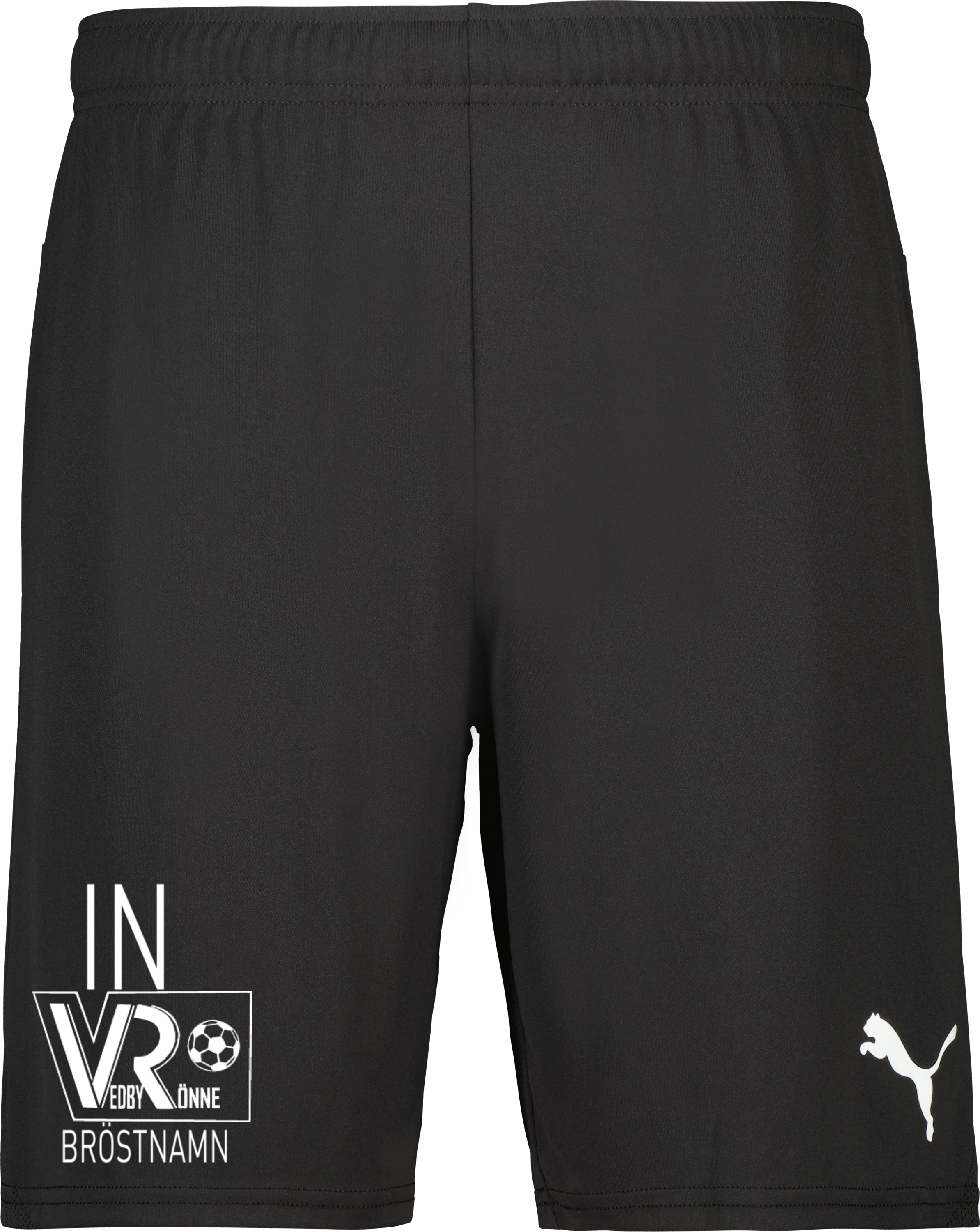 Puma teamGOAL Shorts 