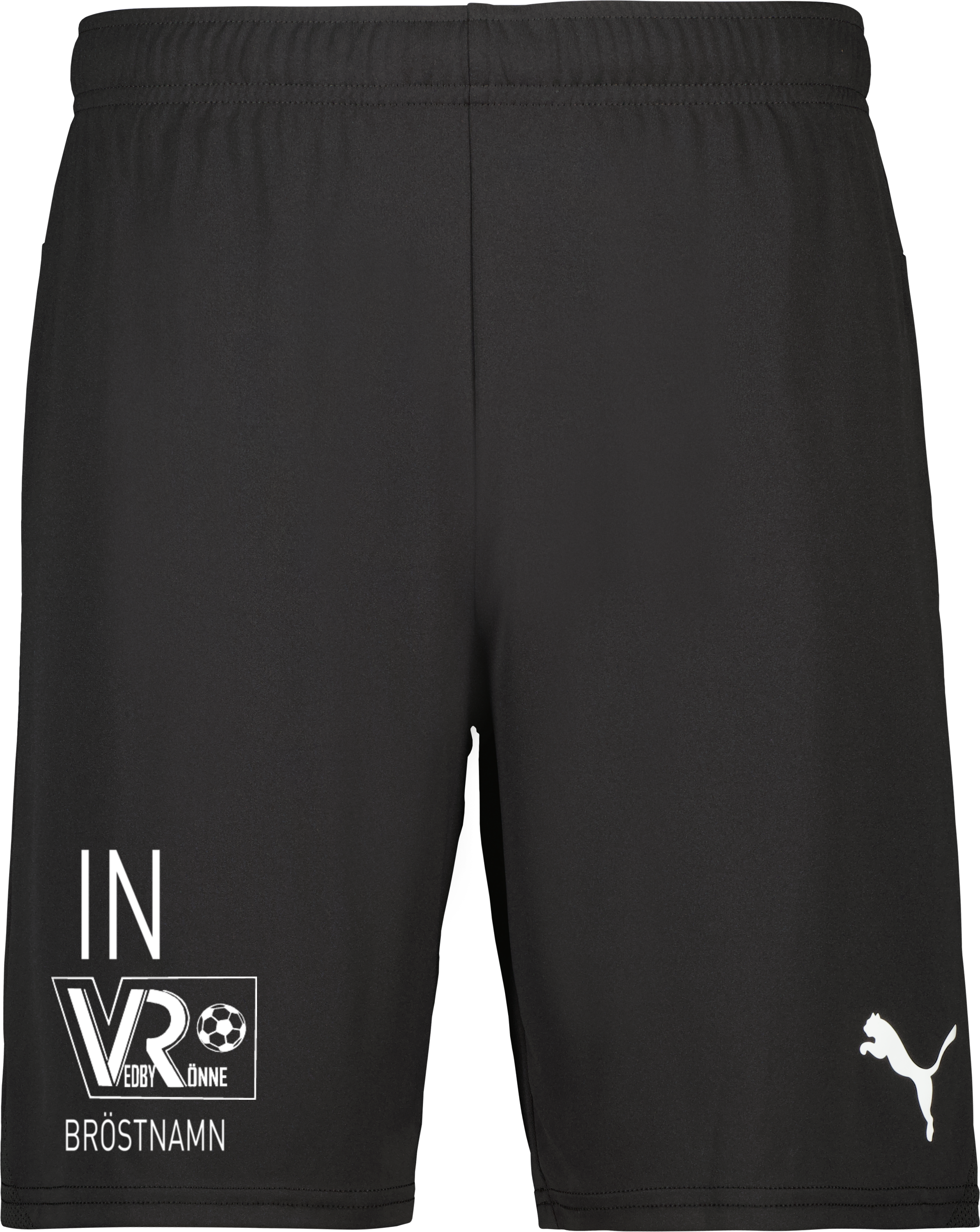 Puma teamGOAL Shorts Jr 