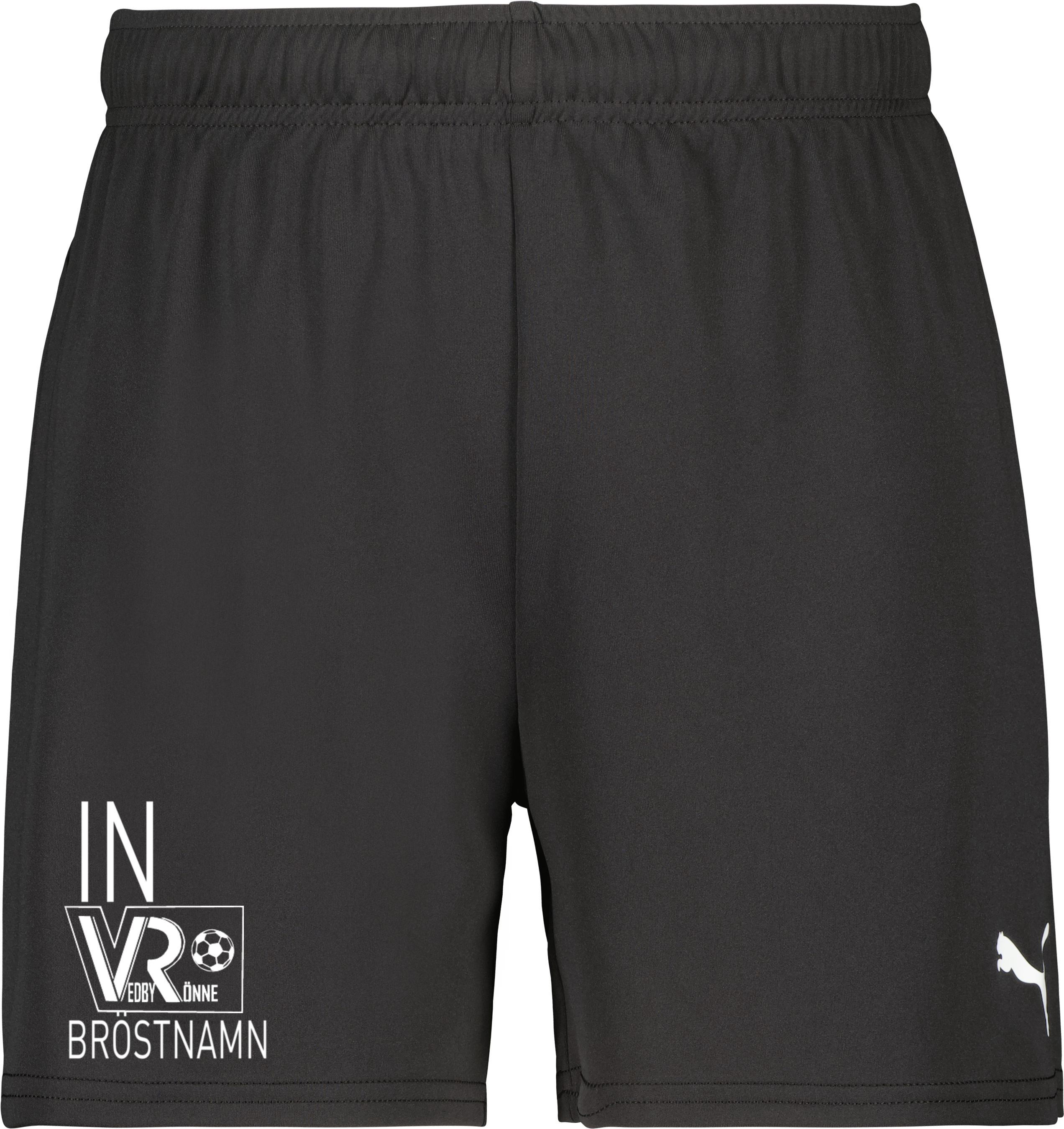 Puma teamGOAL Shorts W 