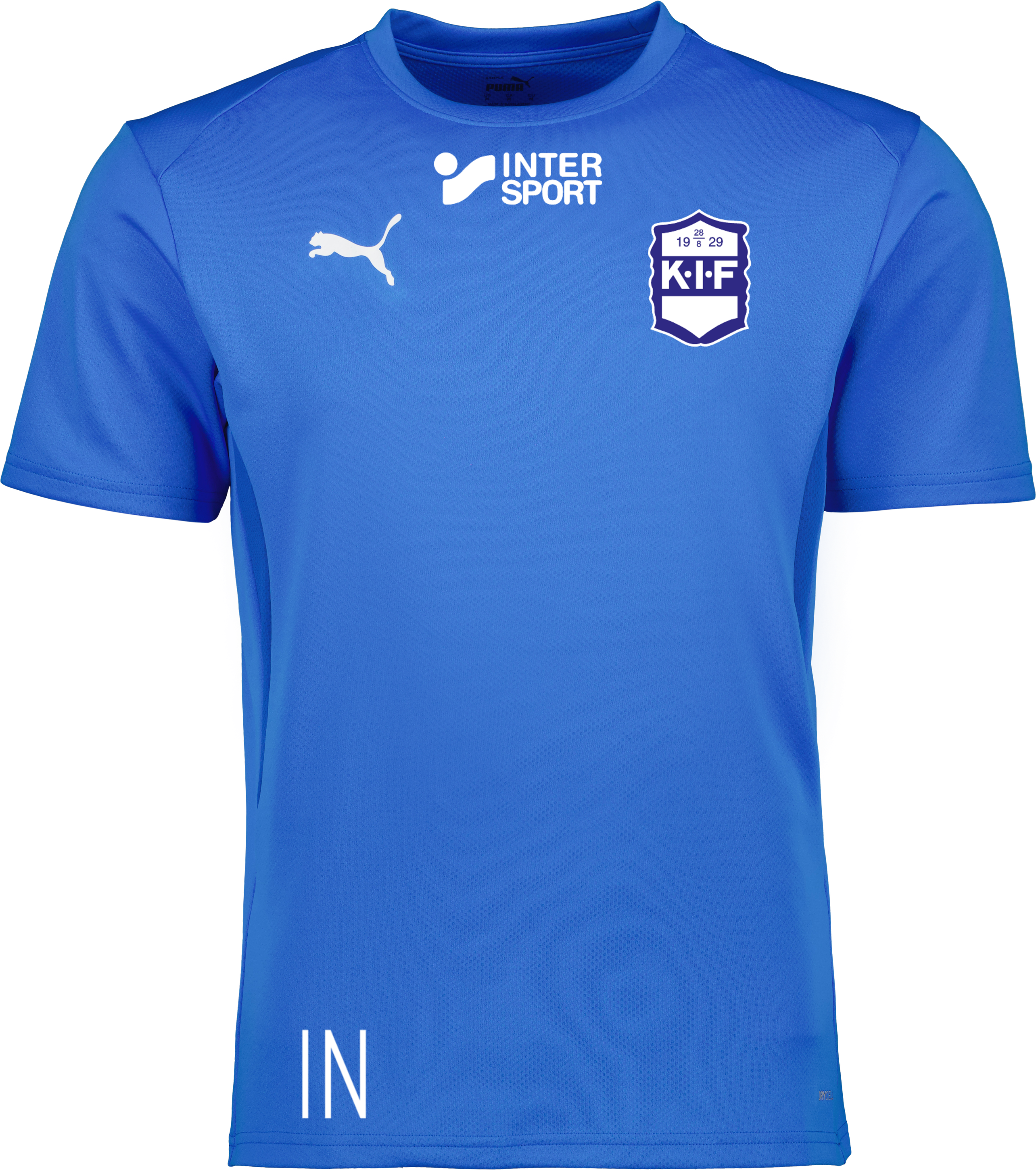 Puma teamGOAL Jersey Jr 