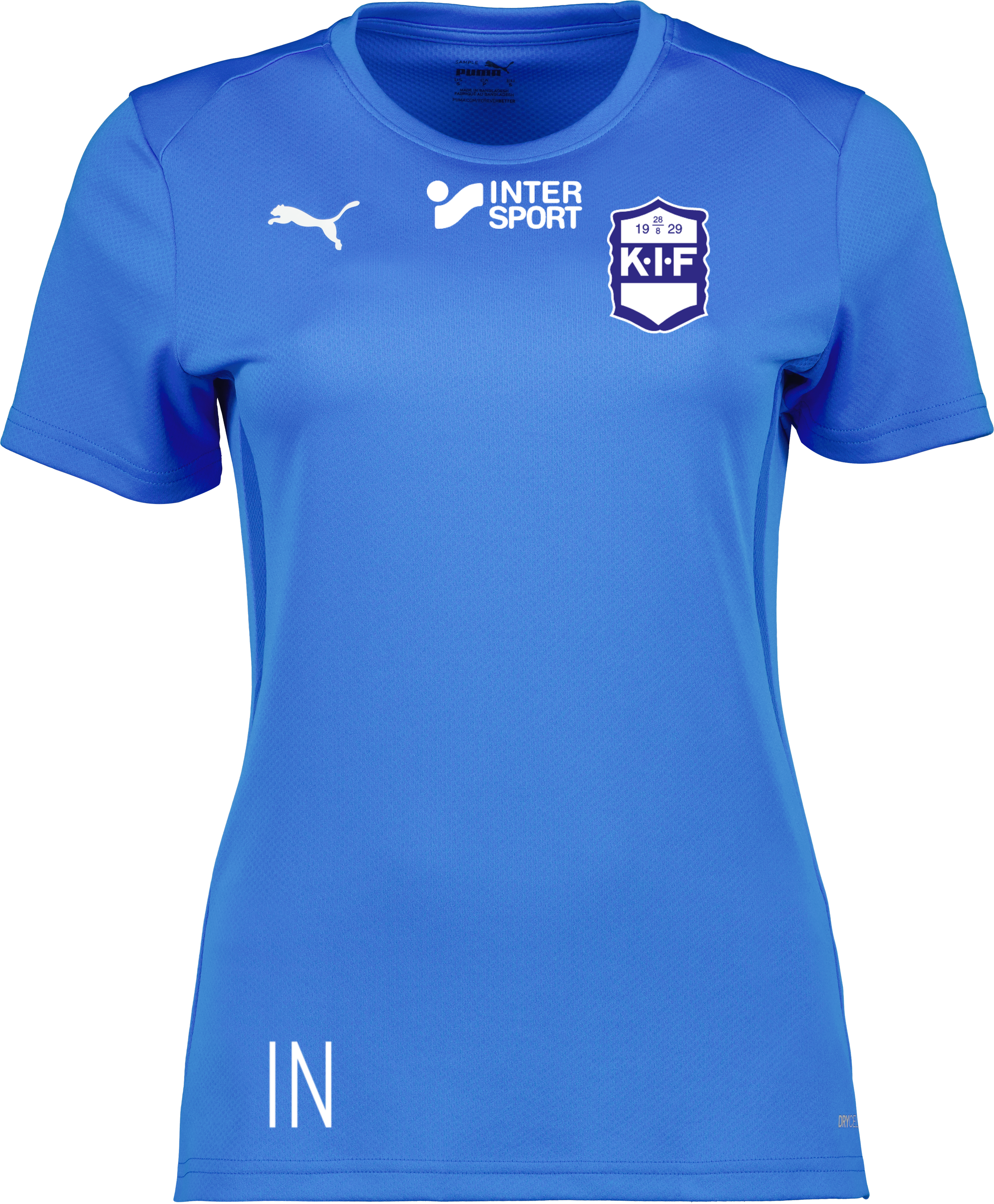 Puma teamGOAL Jersey W 