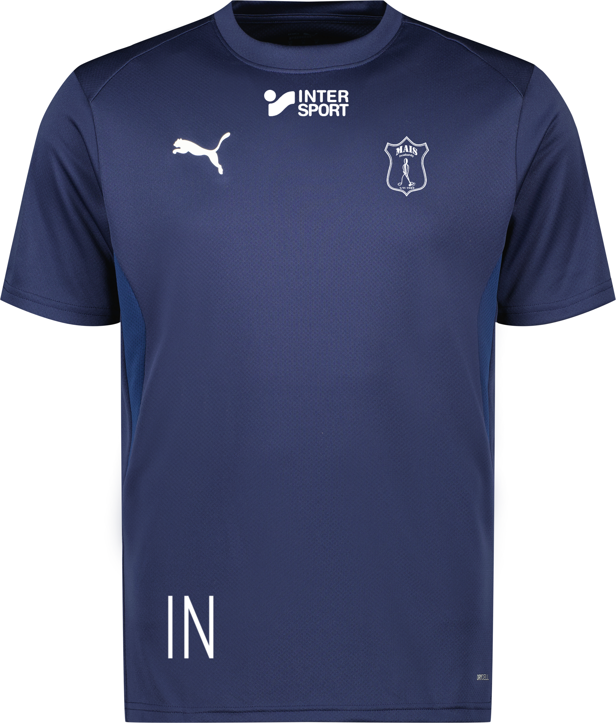 Puma teamGOAL Jersey Jr 