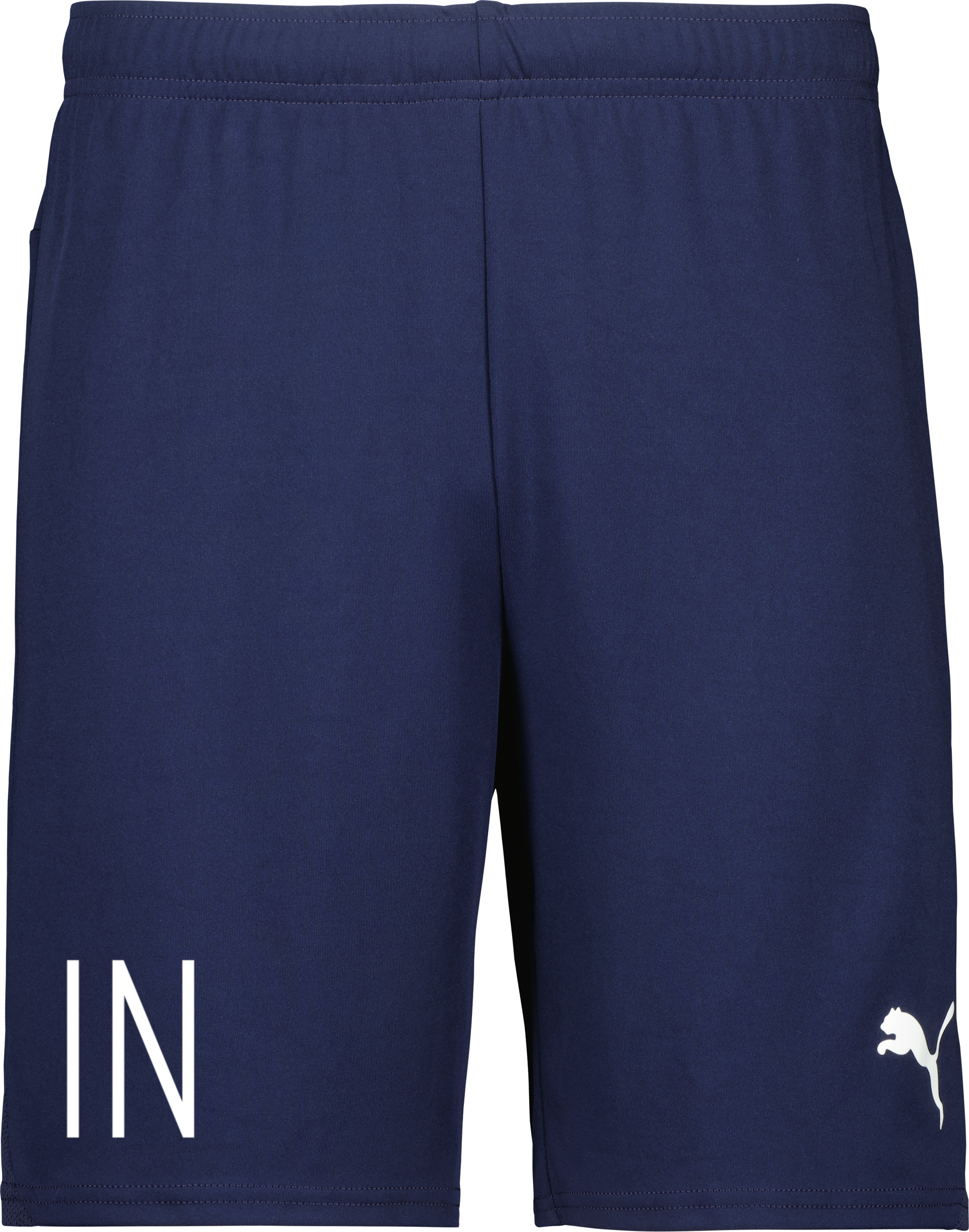 Puma teamGOAL Shorts Jr 