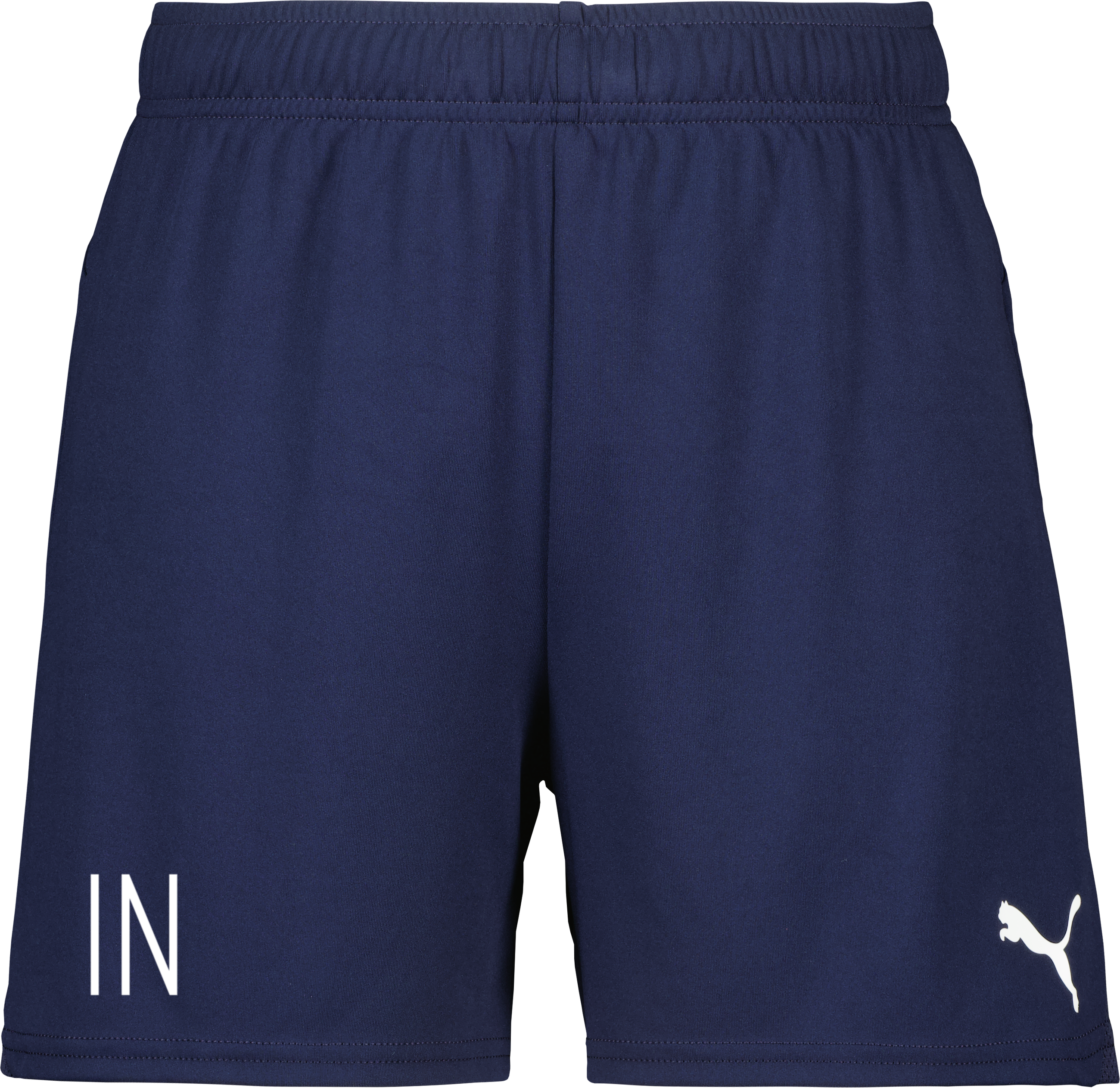 Puma teamGOAL Shorts W 