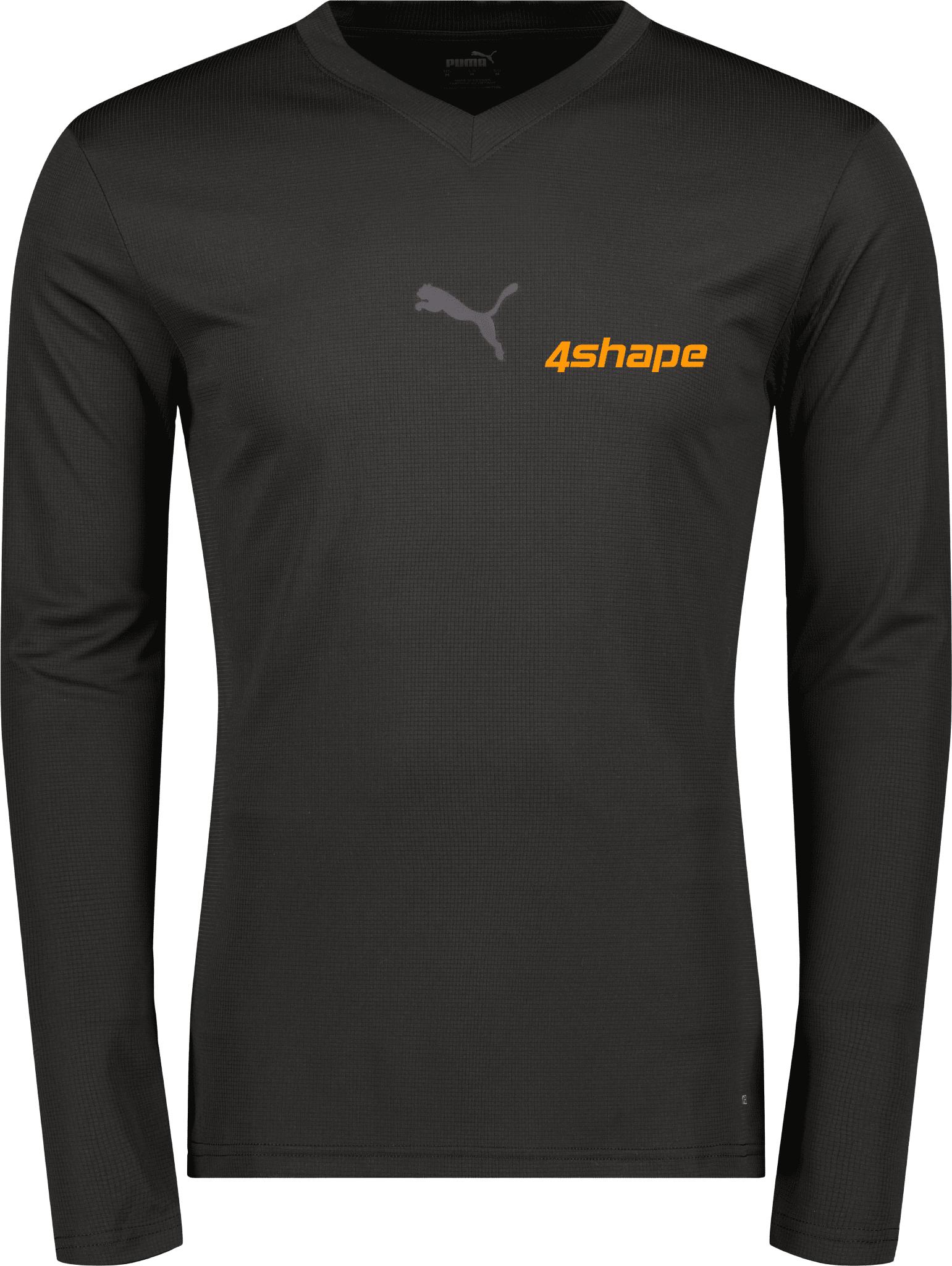 Puma teamGOAL Baselayer Tee LS 