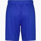 förhandsvisning ikon 2 för Craft Squad Solid Shorts Blå
