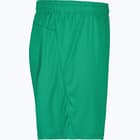 förhandsvisning ikon 4 för Craft Squad Jr Solid Shorts Grön