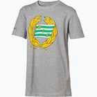 färgalternativ för Grå Hammarby Logo Tee Jr