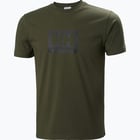 förhandsvisning ikon 3 för Helly Hansen Box M t-shirt Grön