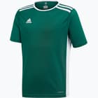 färgalternativ för Grön adidas Entrada 18 Jersey JR t-shirt 