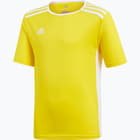 färgalternativ för Gul adidas Entrada 18 Jersey JR t-shirt 