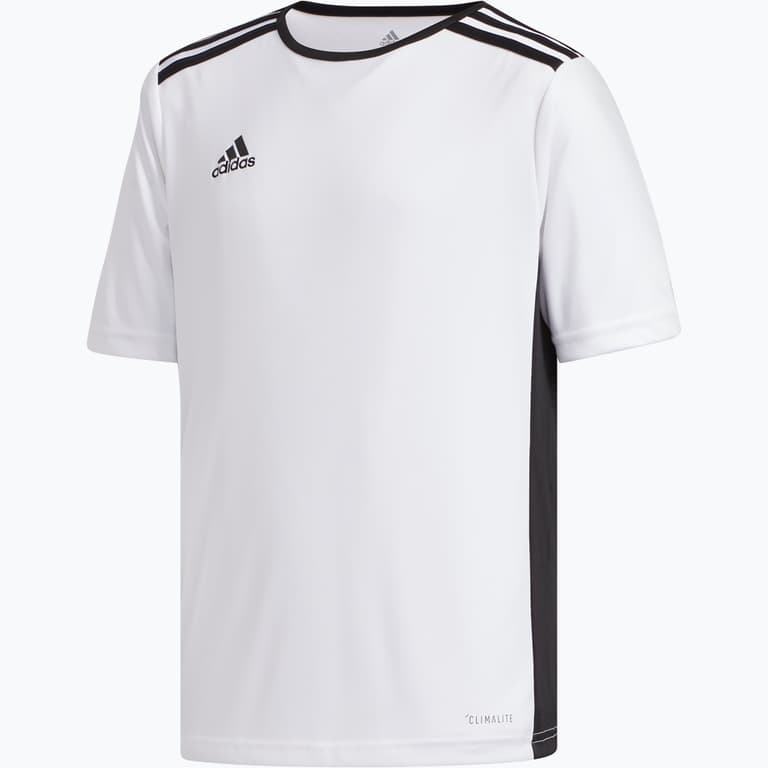 adidas Entrada 18 Jersey Jr T-shirt  Vit