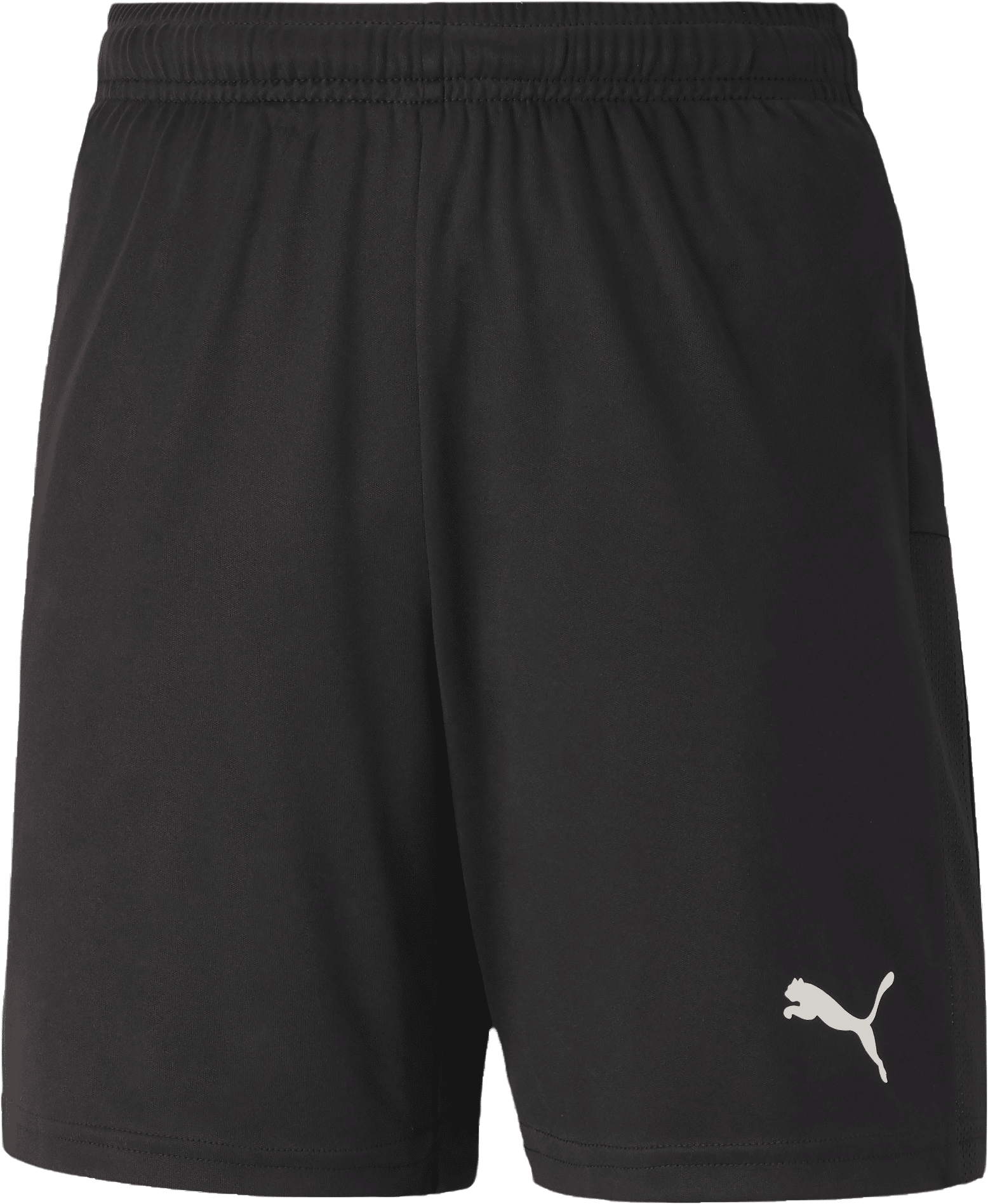 TeamGoal 23 knit shorts Sr