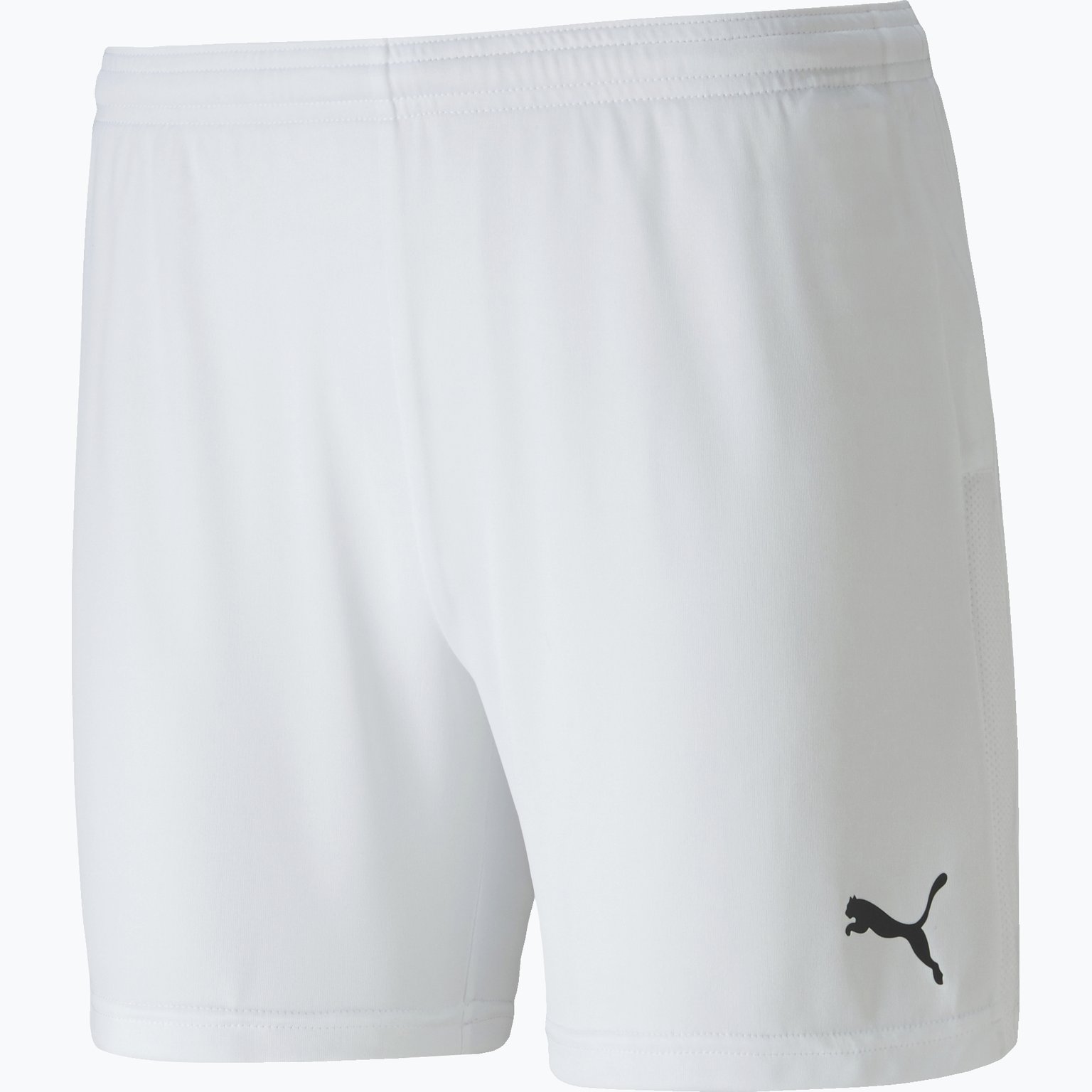 Puma teamGOAL 23 knit Shorts  W Vit