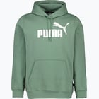 färgalternativ för Grön Puma Essentials Big Logo M huvtröja