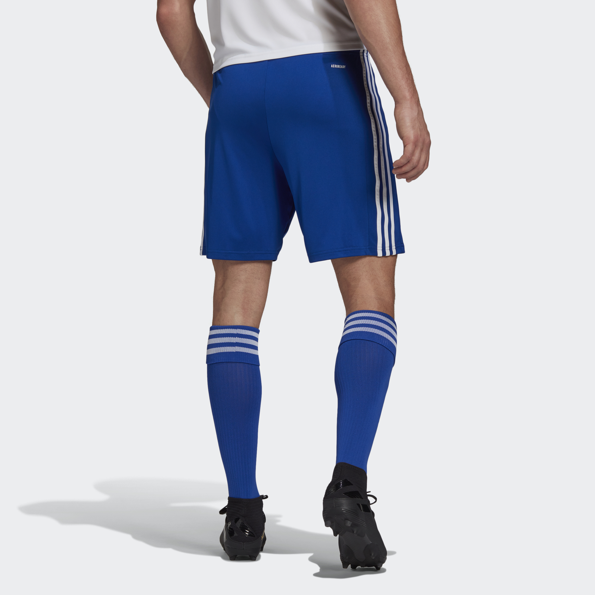 Squadra 21 Shorts