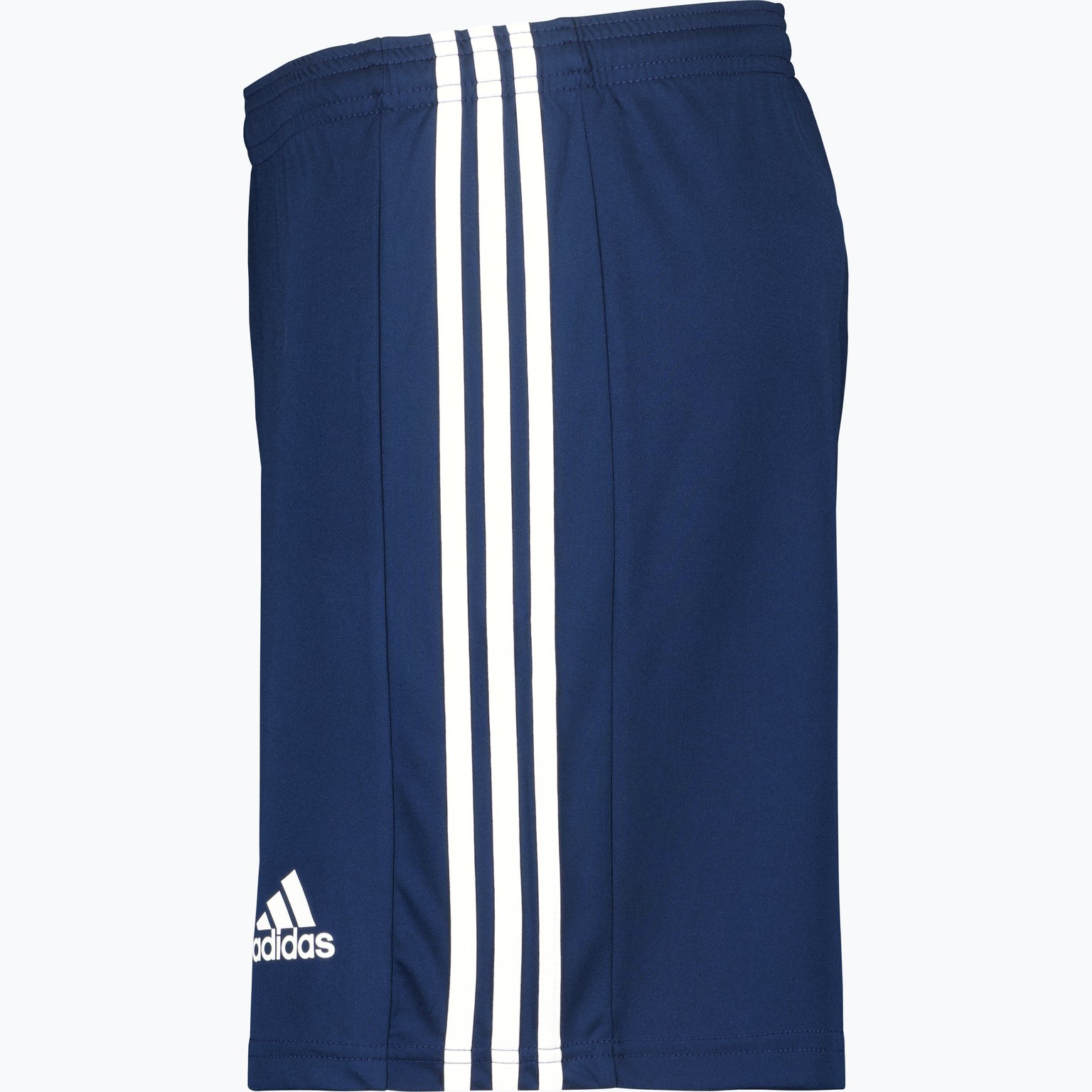 adidas Squadra 21 Jr Shorts Blå