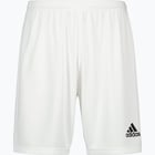 färgalternativ för Vit adidas Squadra 21 Jr Shorts