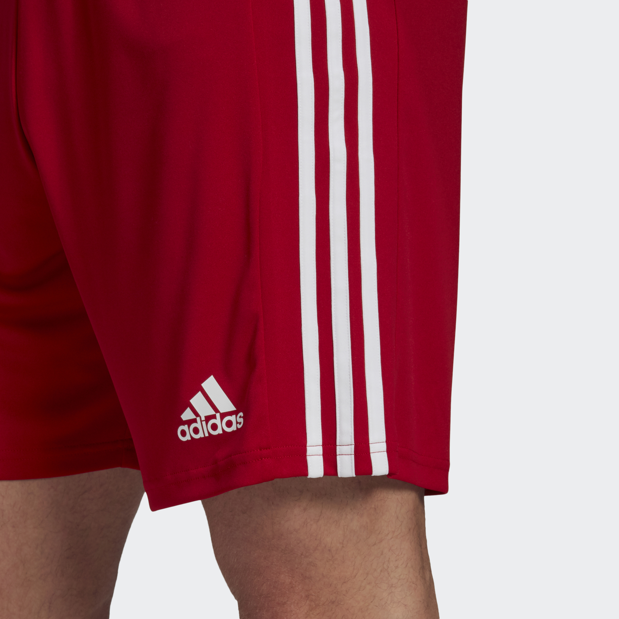 Squadra 21 Shorts