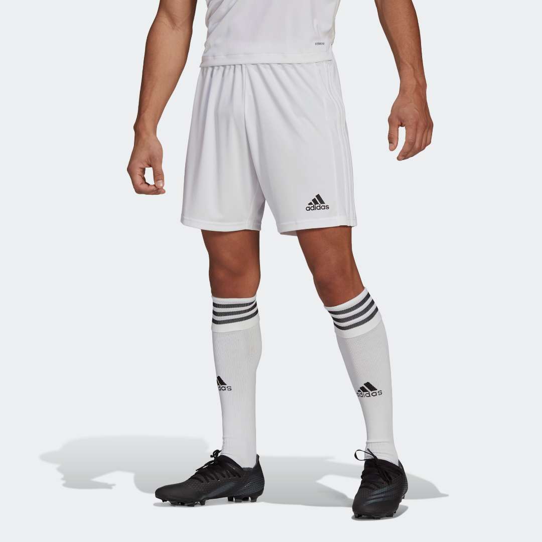 Squadra 21 Shorts