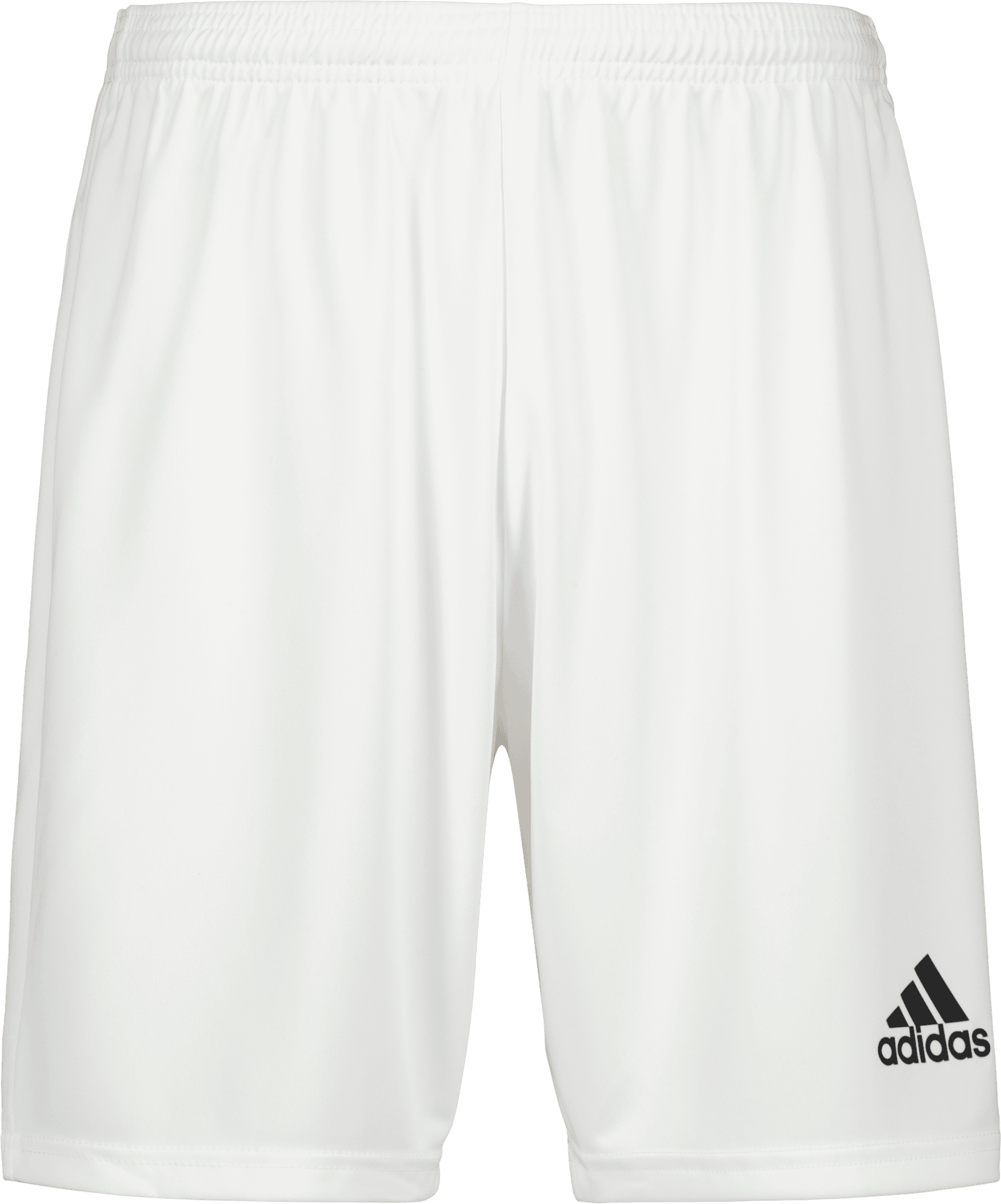 Squadra 21 Shorts
