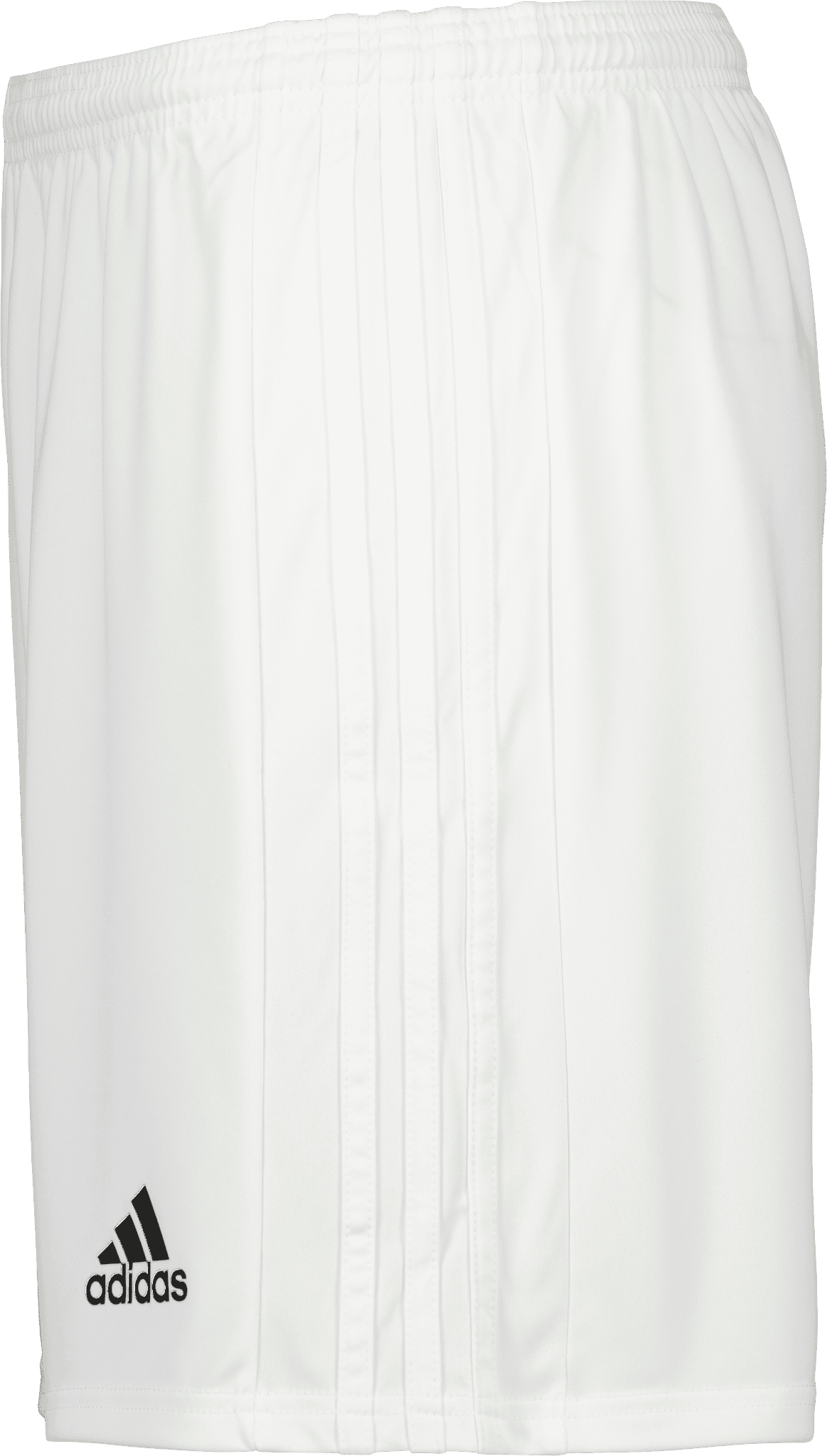 Squadra 21 Shorts