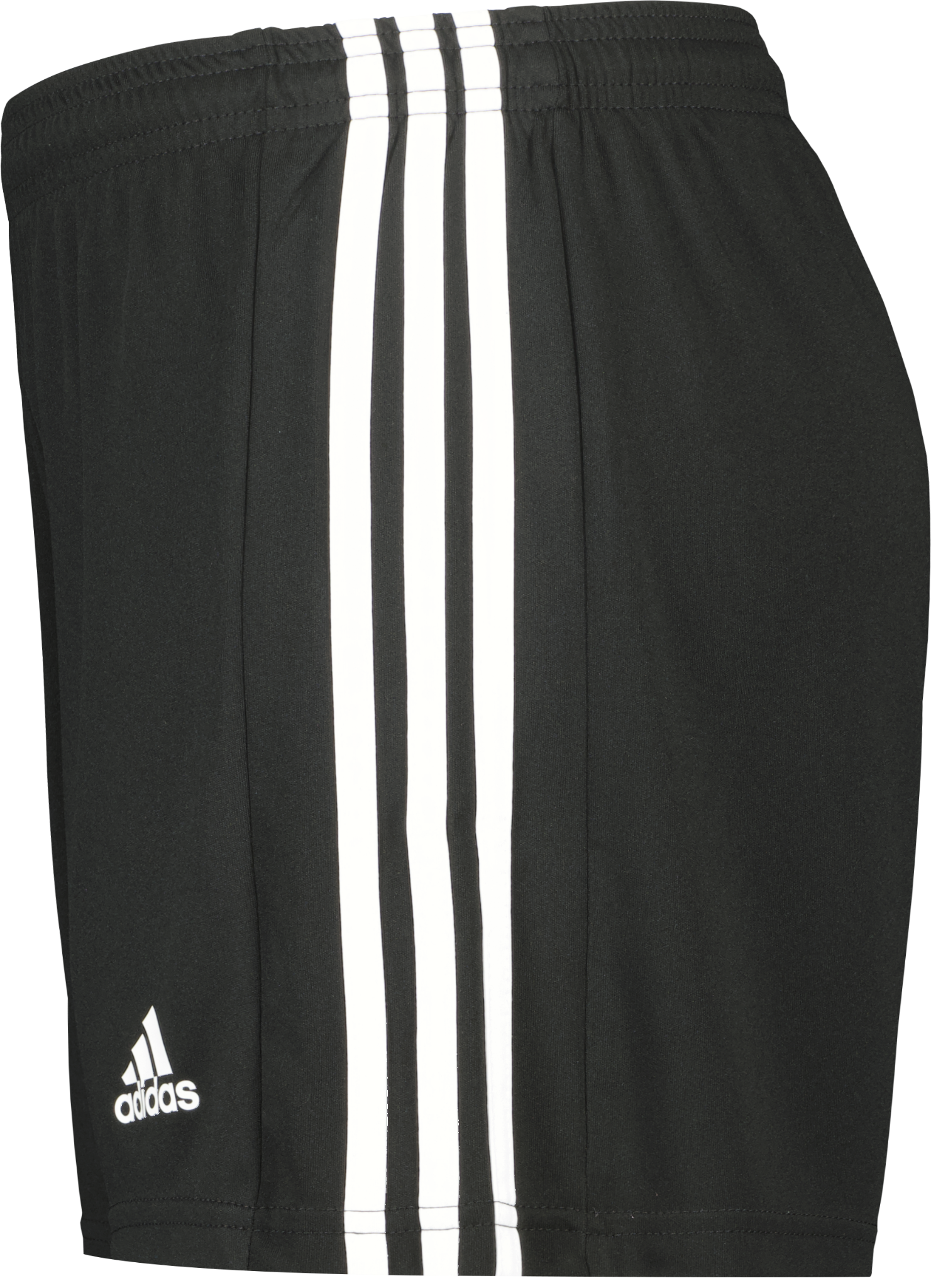 Squadra 21 W shorts 