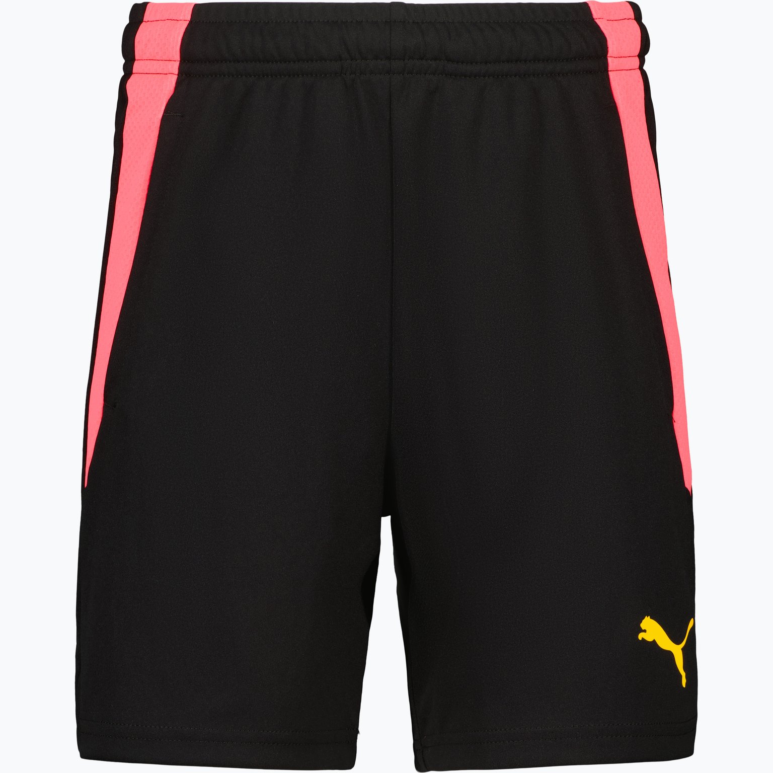 Puma TeamLIGA 2 JR träningsshorts Svart