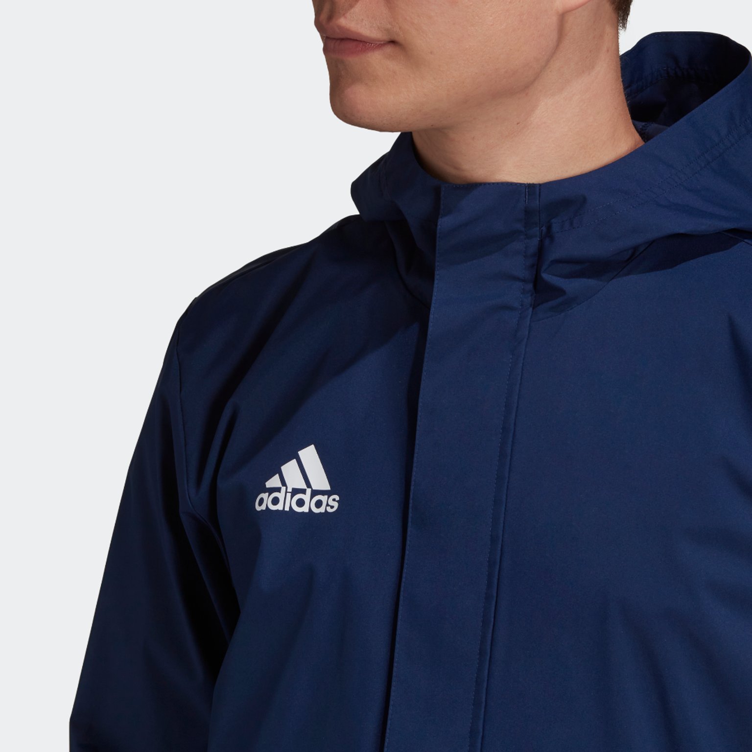 adidas Entrada22 AW Jacka Blå