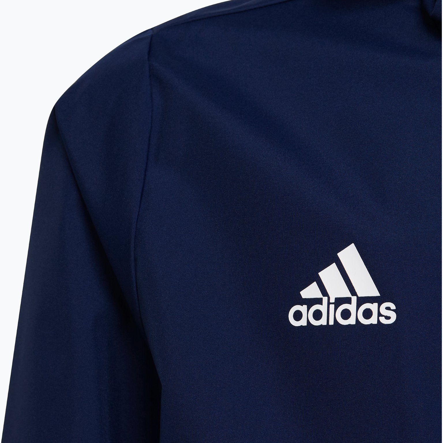 adidas Entrada22 Jr AW Jacka Blå