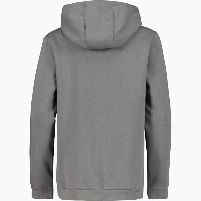 adidas Entrada22 Jr Hoody Grå