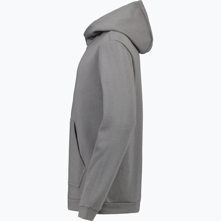 adidas Entrada22 Jr Hoody Grå