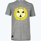 färgalternativ för Grå Brynäs IF Logo Jr T-shirt