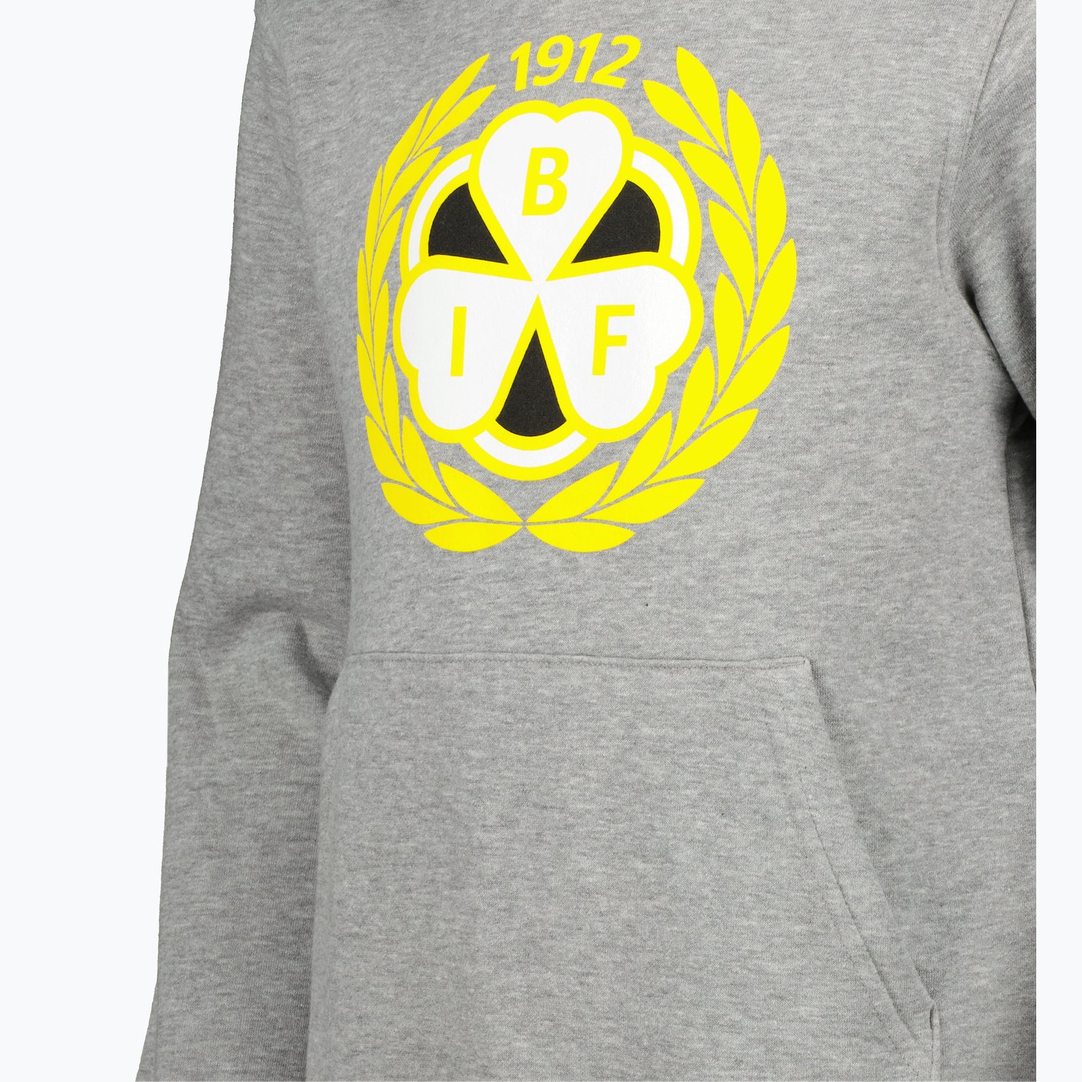 Brynäs IF Logo Jr Hoodie Grå