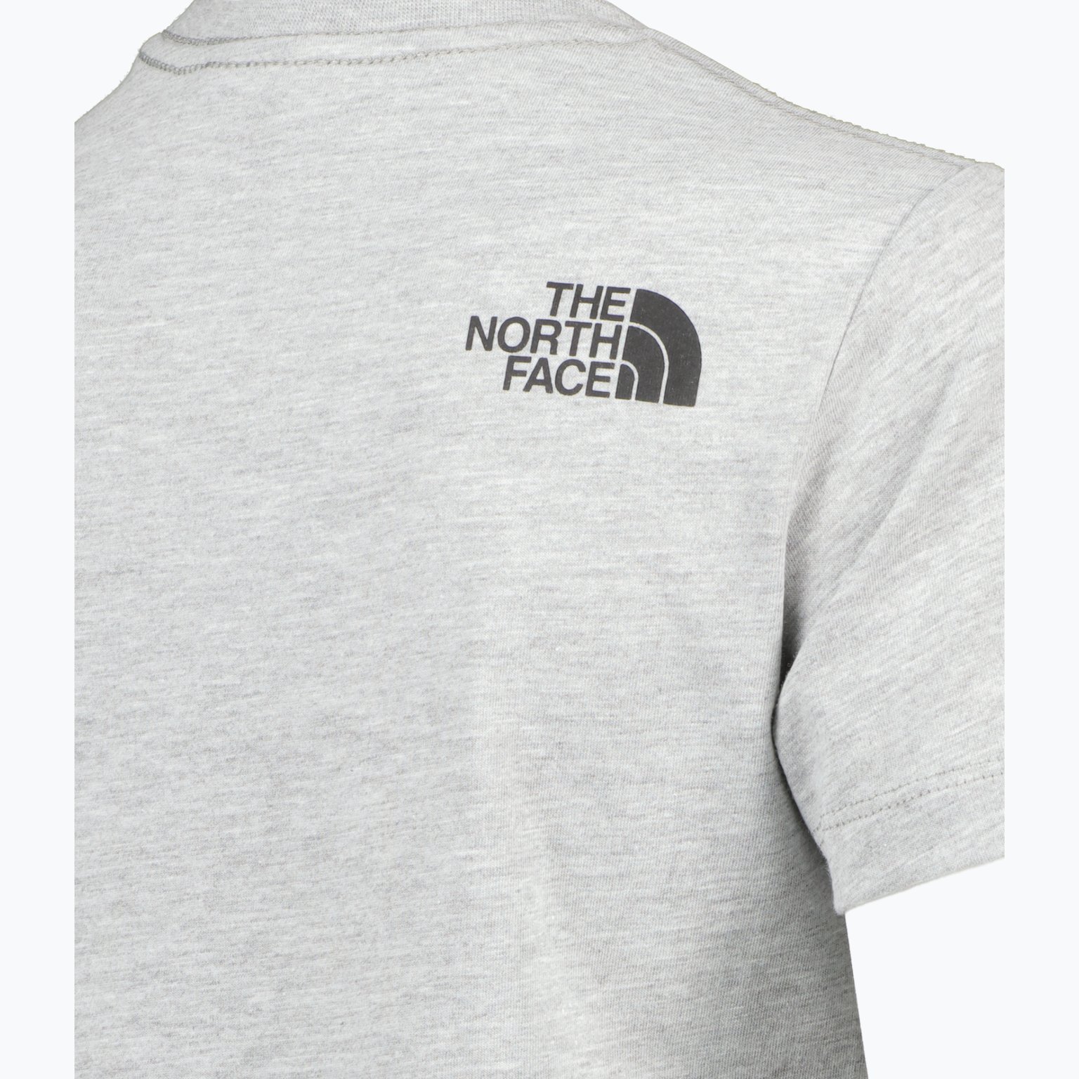 The North Face Easy JR t-shirt Grå