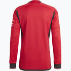 förhandsvisning ikon 6 för adidas Manchester United 23/24 Home LS M matchtröja Röd