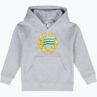 färgalternativ för Grå Hammarby LOGO JR HOOD