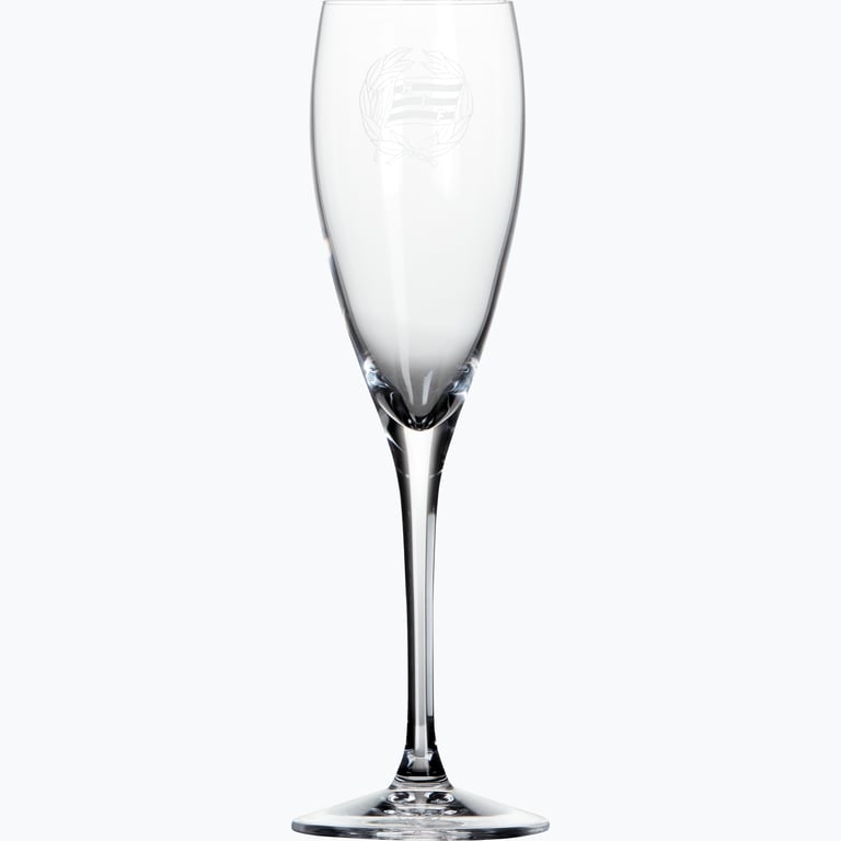 Hammarby More 2-Pack 18cl champagneglas Flerfärgad