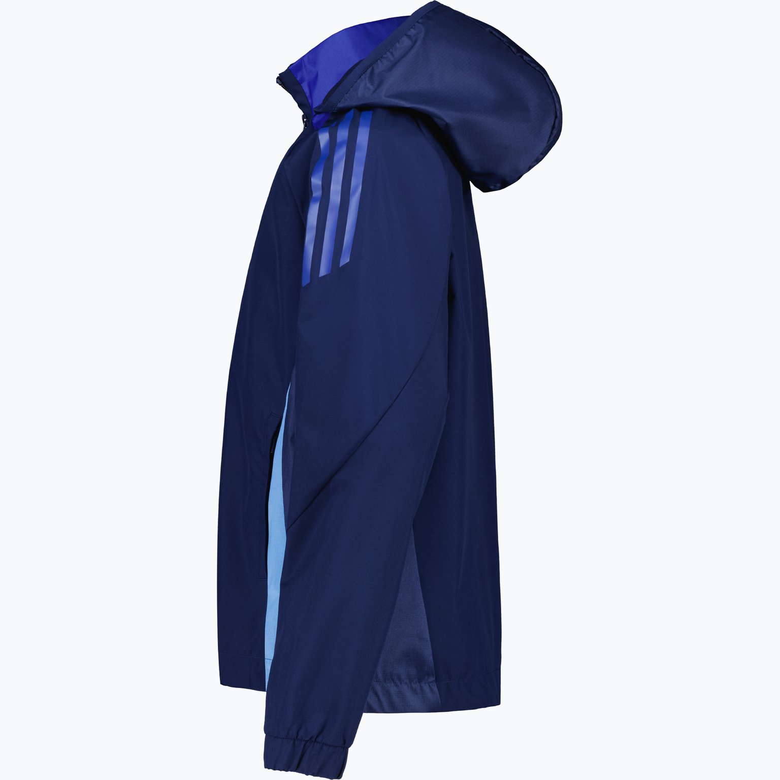 adidas TIRO24 C AW JKT Blå