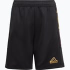 förhandsvisning ikon 1 för adidas Tiro Summer JR shorts Svart