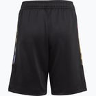 förhandsvisning ikon 2 för adidas Tiro Summer JR shorts Svart