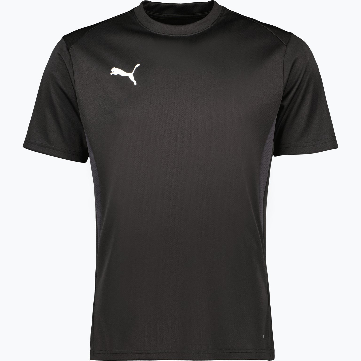 Puma teamGOAL Jersey  Svart