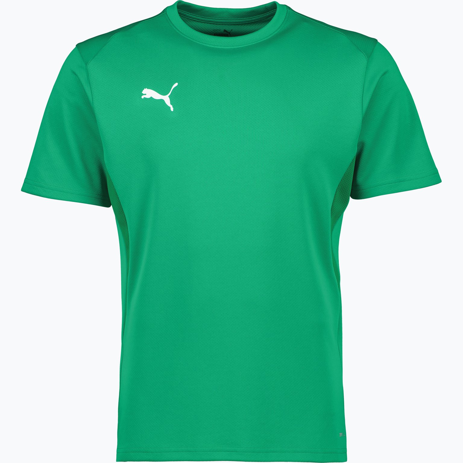 Puma teamGOAL Jersey  Svart