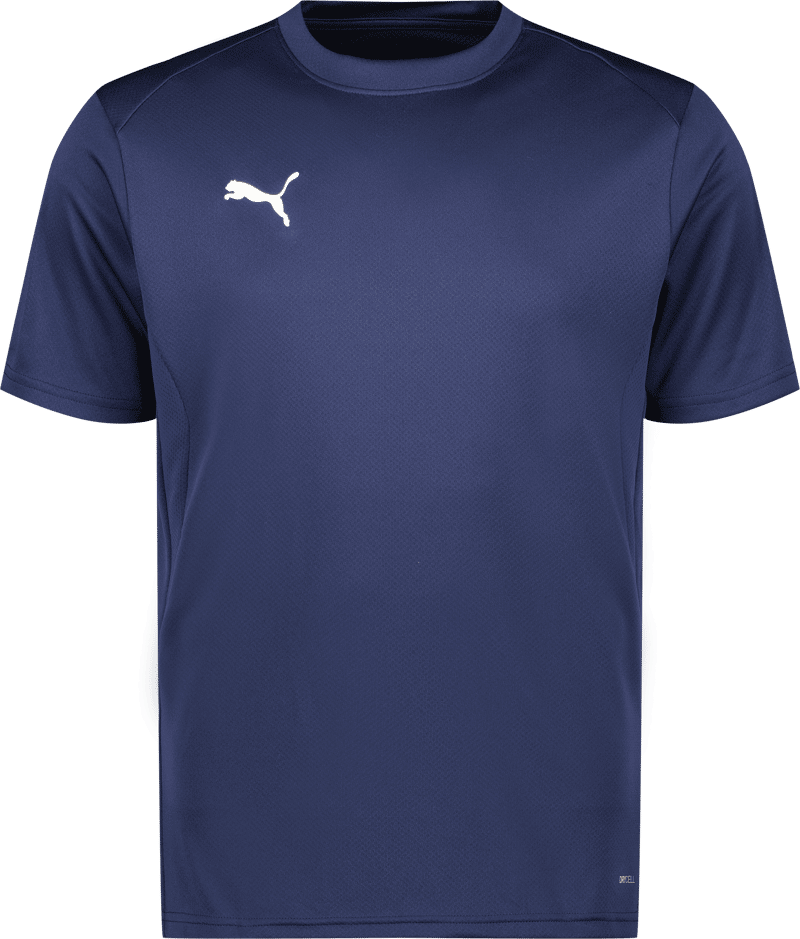 Puma teamGOAL Jersey 