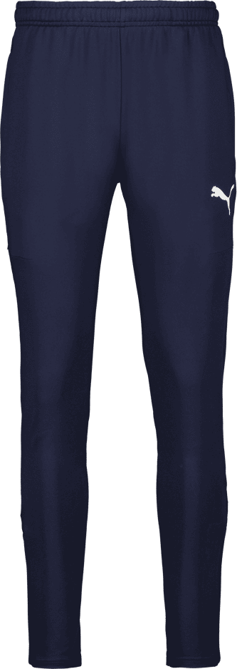 Puma teamGOAL PRO Training Pants 