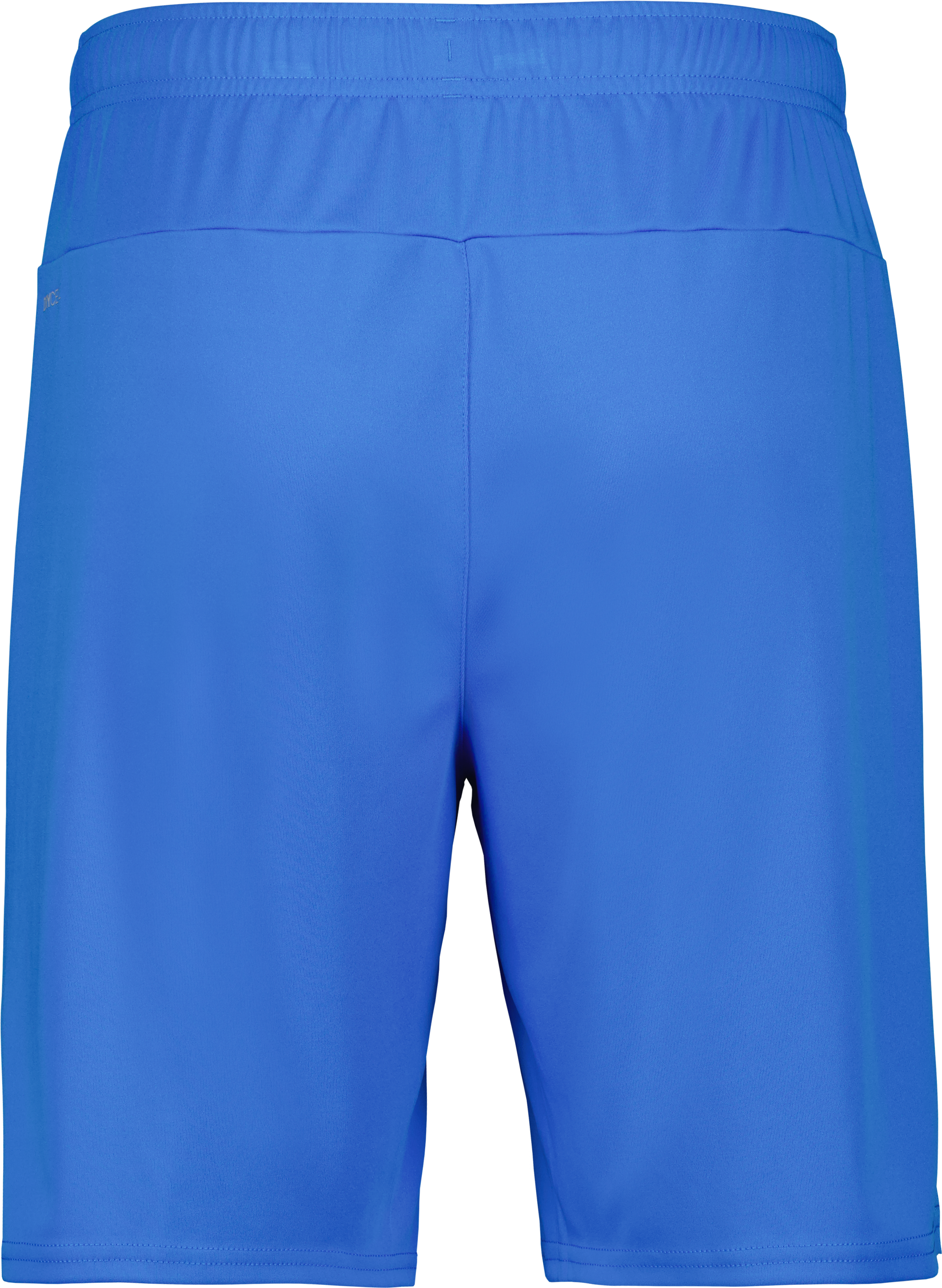 teamGOAL Shorts 