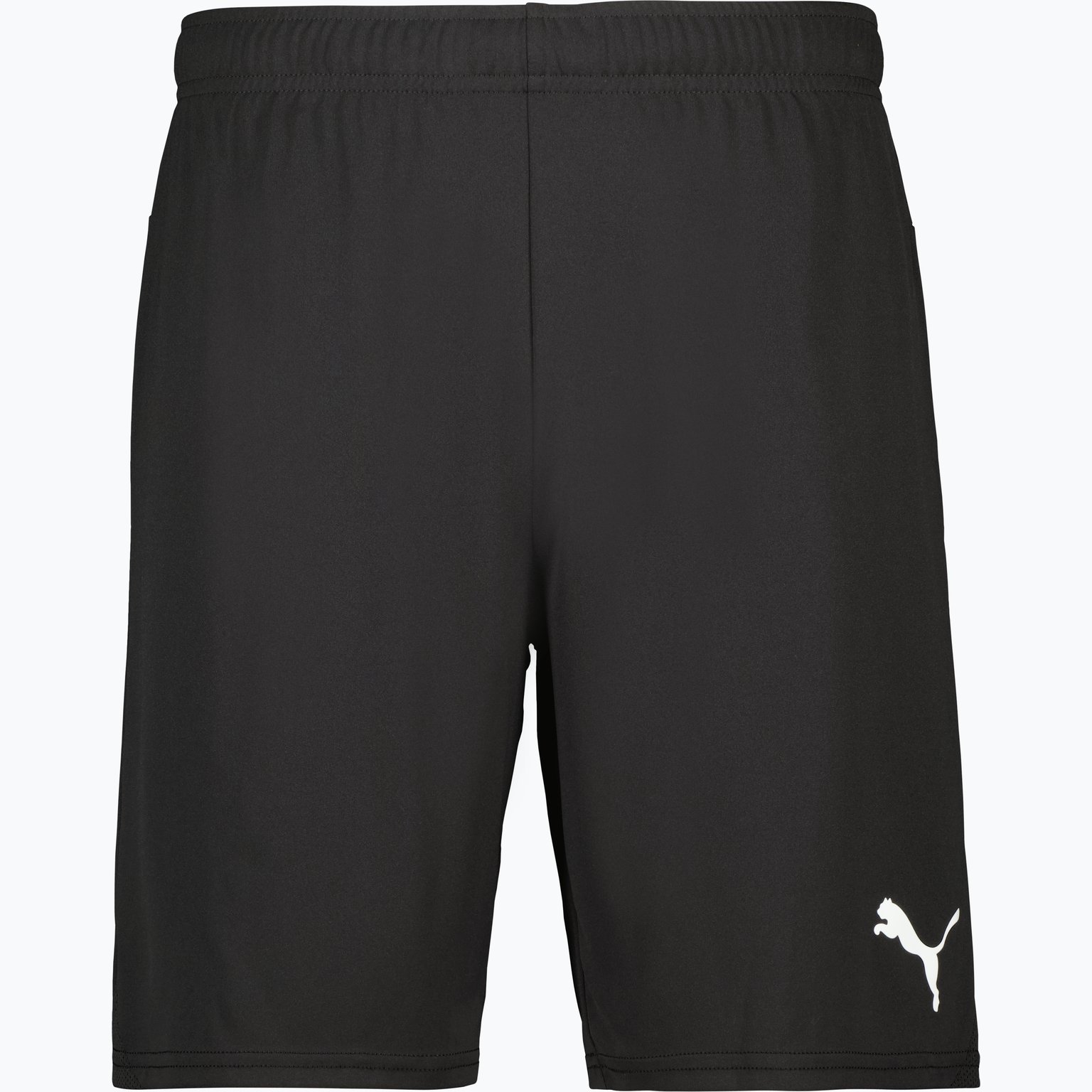 Puma teamGOAL Shorts  Svart