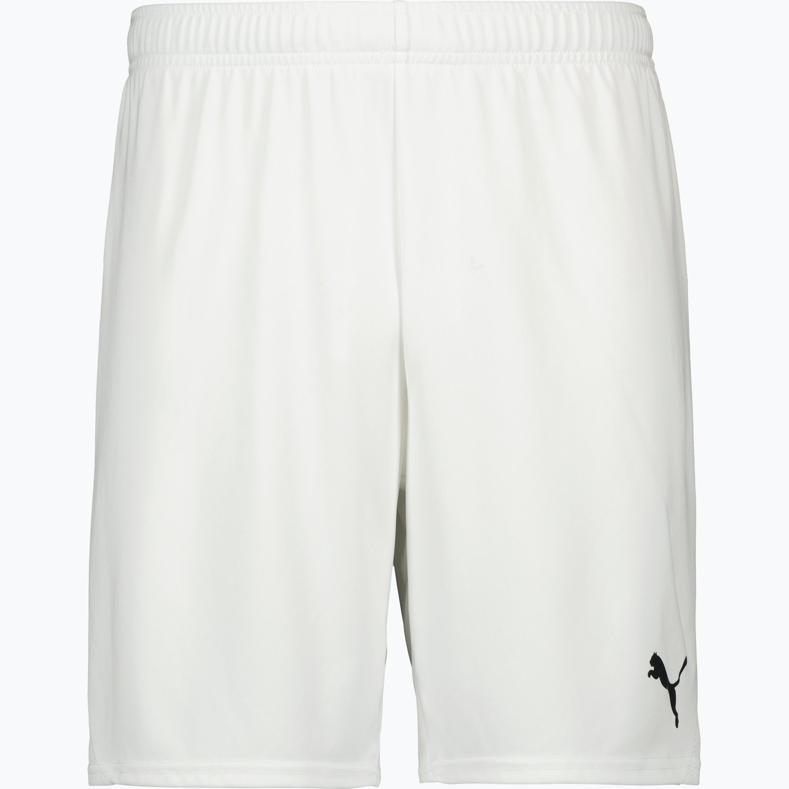 Puma teamGOAL Shorts  Blå