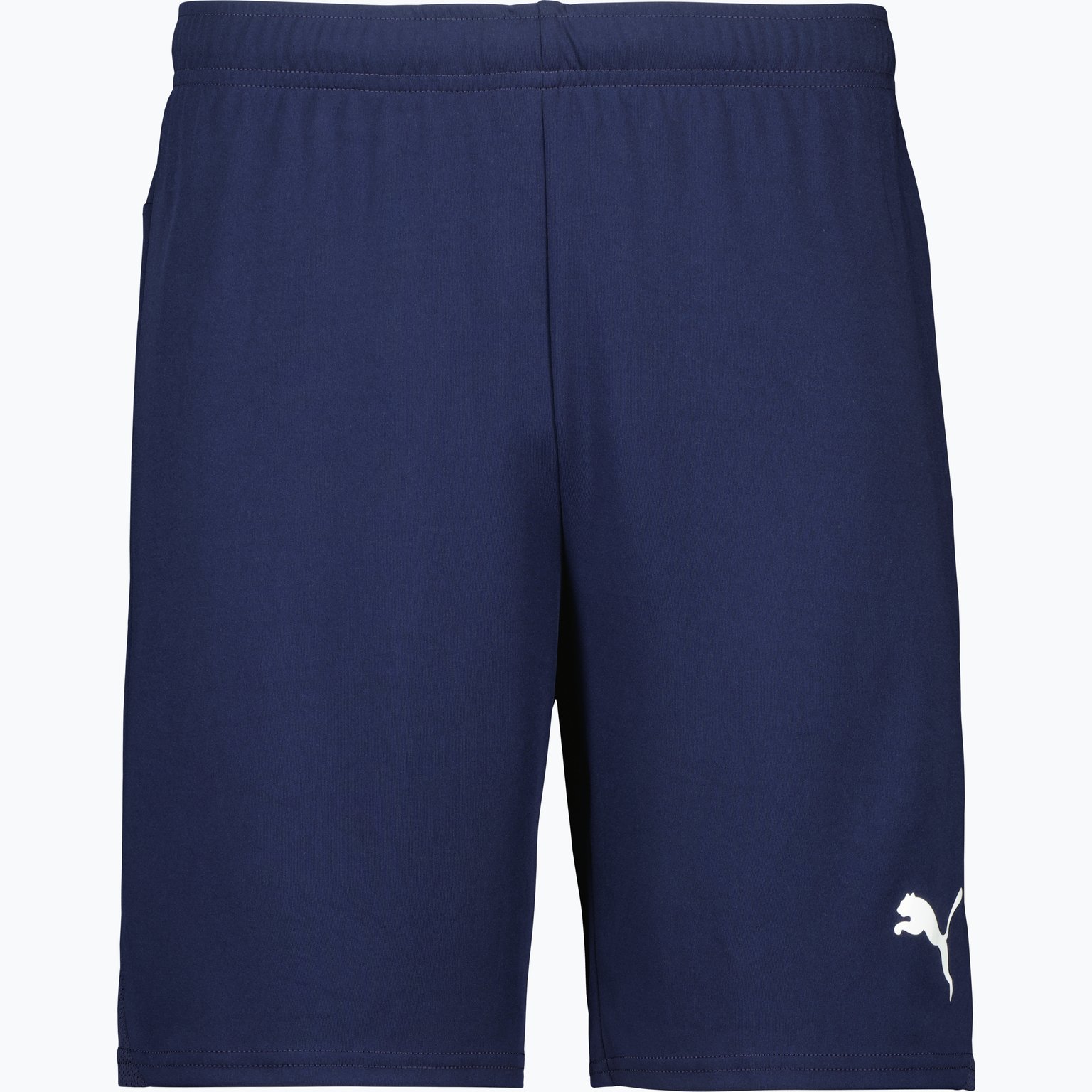 Puma teamGOAL Shorts  Svart